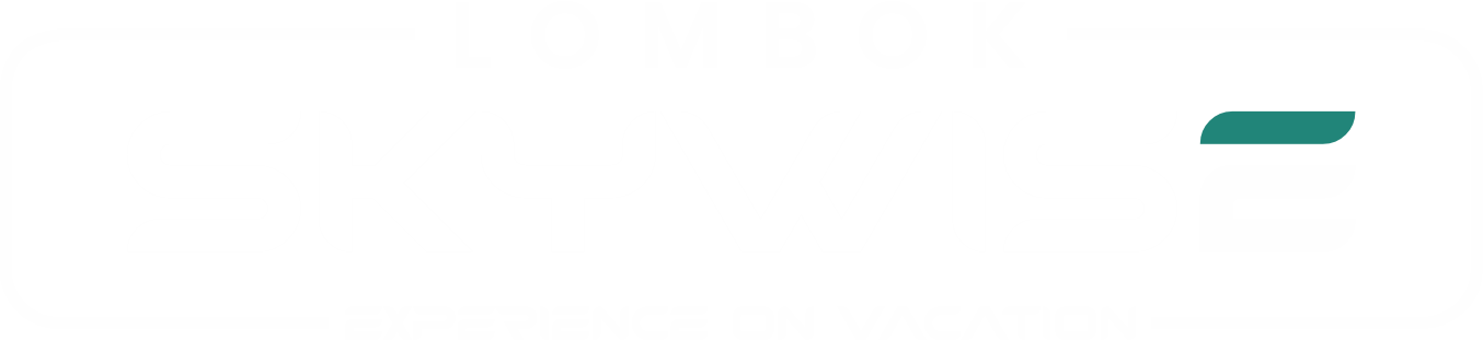 LOGO SKYWISE WEBSITE