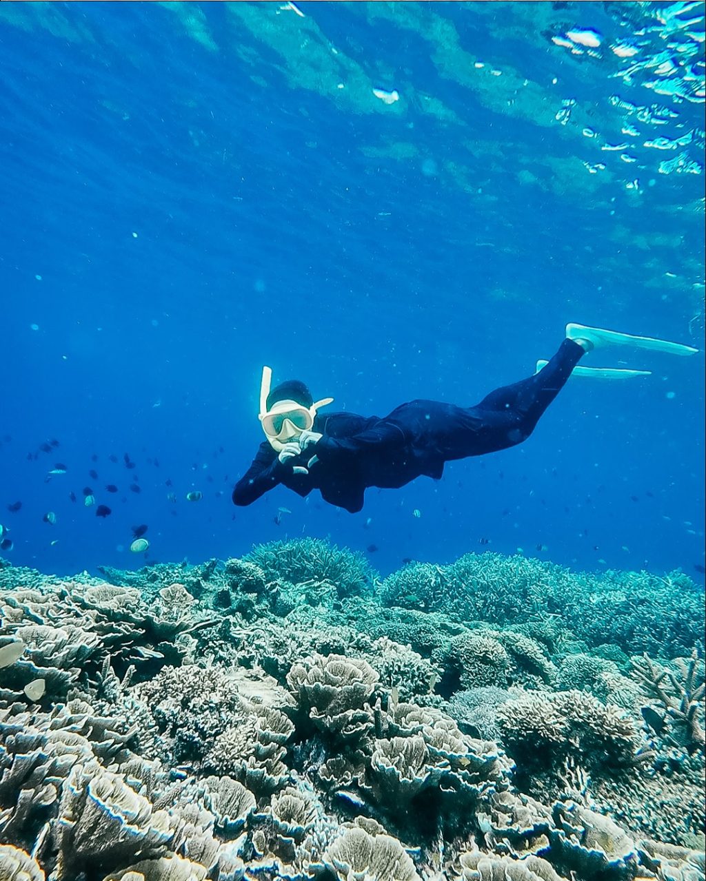 Instagram post from lombokskywise. This post is in position 8.