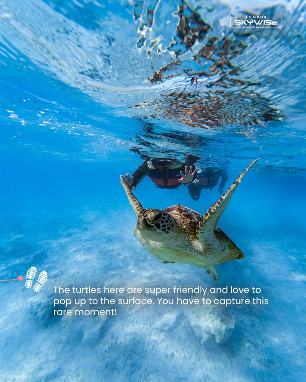 Instagram post from lombokskywise. This post is in position 4.