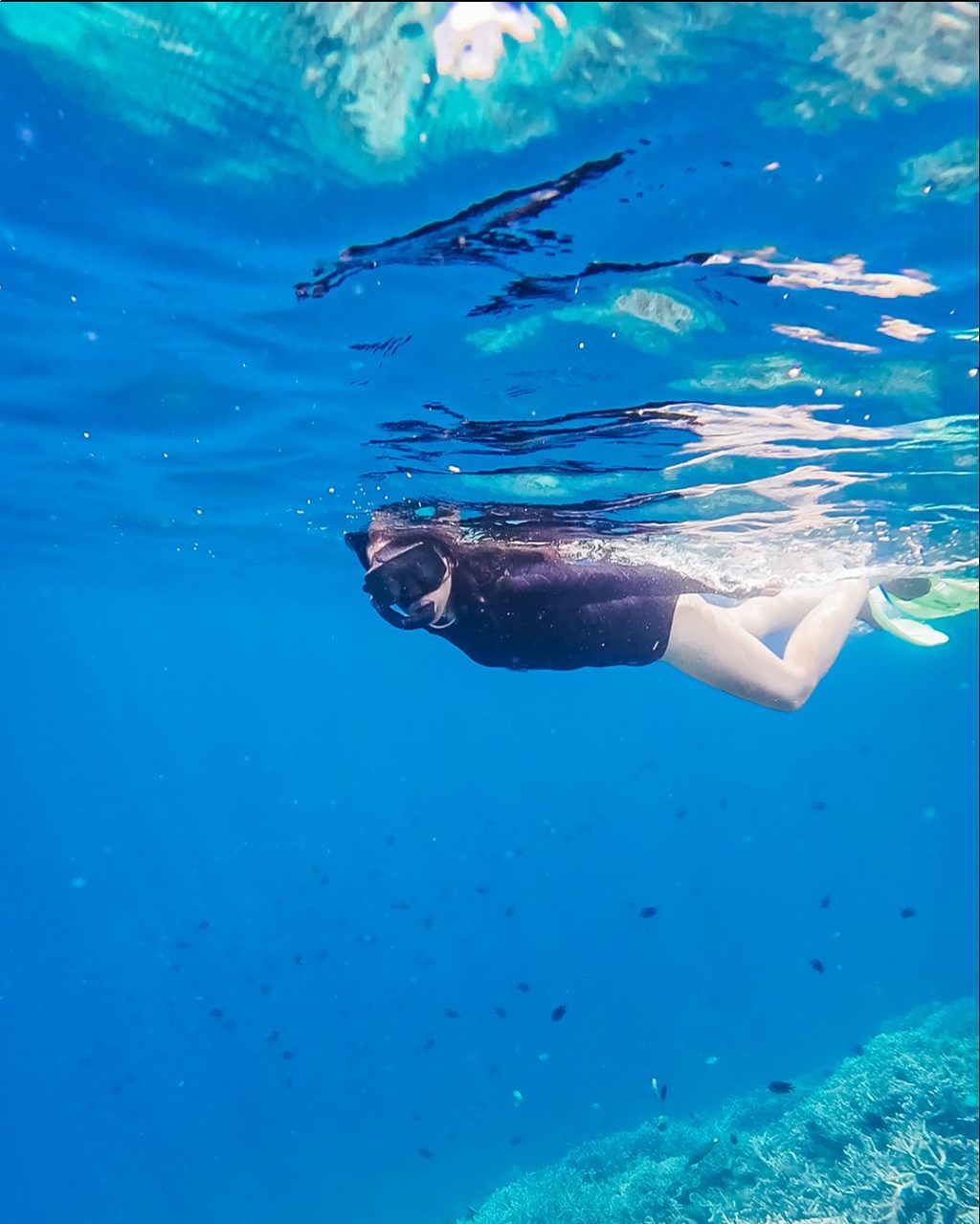 Instagram post from lombokskywise. This post is in position 6.
